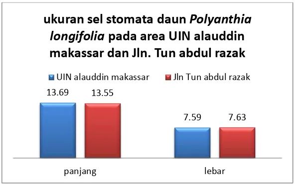 Gambar 4.5 : histogram ukuran sel stomata daun glodokan (Polyalthia longifolia) pada Area Uin alauddin makassar dan Jln