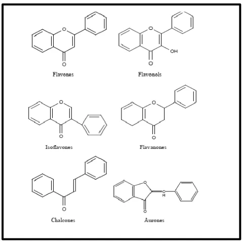Gambar 2.3. Jenis-Jenis Flavonoid (Mabry, et al, 1970). 