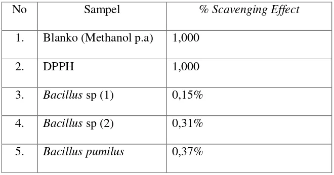 Tabel 4.1 % Scavenging Effect yang diperoleh pada isolat 