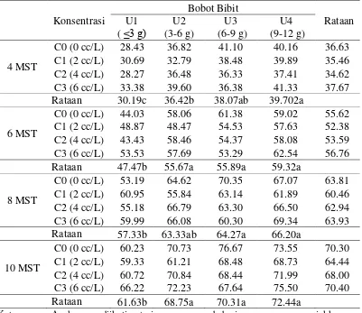 Tabel 1. Rataan tinggi tanaman 4-10 MST (cm) pada pemberian pupuk organik cair dan perbedaan bobot bibit (G1) 