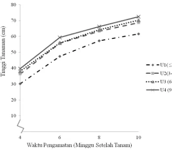 Gambar 2. Grafik pertumbuhan tinggi tanaman 4-10 MST (cm) pada perbedaan  bobot bibit (G1)