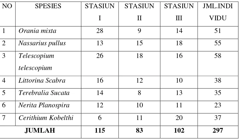 Tabel 4.1 Keanekaragaman Gastropoda yang terdapat pada stasiun I,II,dan III 