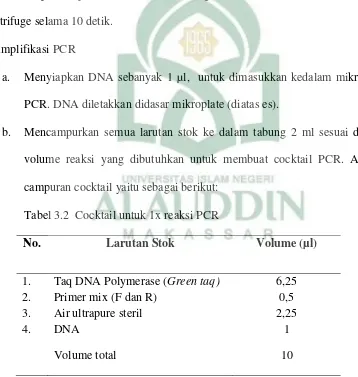 Tabel 3.2  Cocktail untuk 1x reaksi PCR 