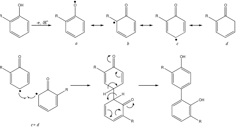 Gambar 1. Reaksi pembentukan dan penggabungan radikal fenoksil (a, b, c, dan d adalah radikal fenoksil) (Bruneton, 1999) 