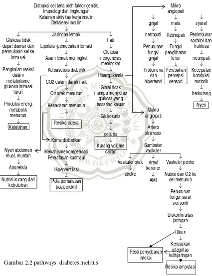Gambar 2.2 pathways  diabetes melitus 