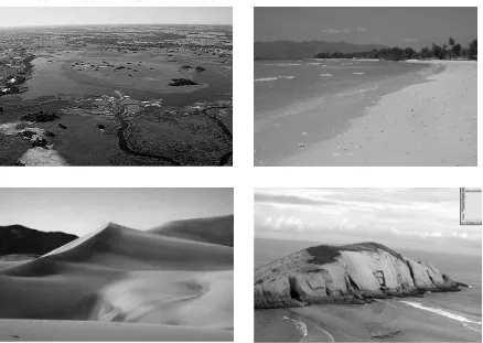 Gambar Berbagai macam bentukan hasil pengendapan.  (1) Delta (2) Beach(3) Sand dunes(4) Tombolo 