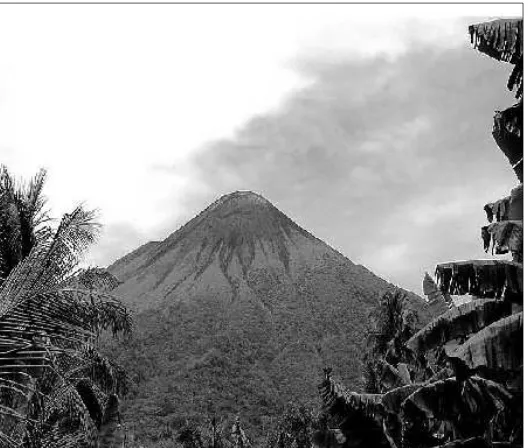 Gambar  : Pembangkit Listri Tenaga Uap (PLTU) dan Daya tarik wisata pegunungan 