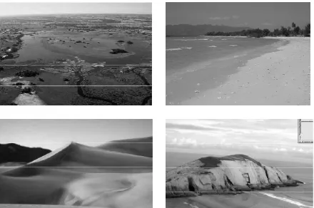Gambar Berbagai macam bentukan hasil pengendapan.  (1) Delta (2) Beach(3) Sand dunes(4) Tombolo 