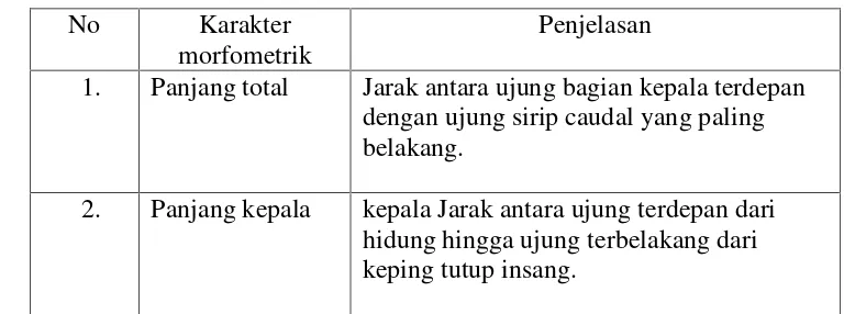 Tabel 2.1 karakter morfometrik (Priyanie dan Julita, 2006).