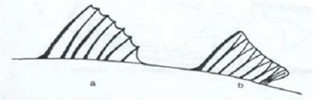 Gambar 2.4. Bagian sirip punggung pertama yang keras (a) dan bagian kedua yanglunak (b) (Sumber: Kotellat, et al., 1993).