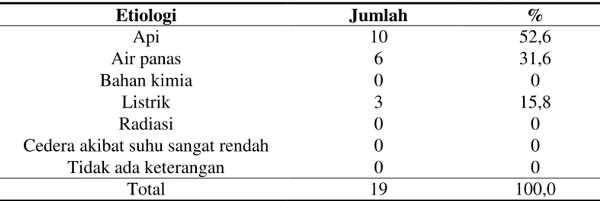 Tabel 4.4  Distribusi  etiologi  pada  pasien  luka  bakar  berat  yang  meninggal  di  RSUD  Arifin  Achmad  Provinsi  Riau  periode  Januari  2011-  Desember  2013  Etiologi  Jumlah  %  Api  10  52,6  Air panas  6  31,6  Bahan kimia  0  0  Listrik  3  15