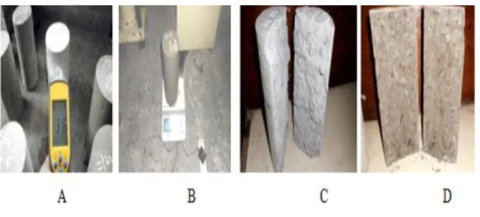 Gambar  4.  Pengukuran  temperatur  beton  silinder  dengan semen organik (A), Pengukuran berat beton  silinder  dengan  semen  organik  (B),  silinder  beton  dengan  semen  organik  hasil  uji  tarik  (C),  silinder  beton dengan semen portland hasil uji