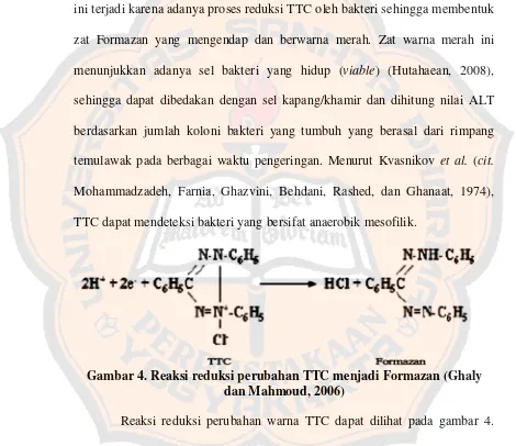 Gambar 4. Reaksi reduksi perubahan TTC menjadi Formazan (Ghaly 