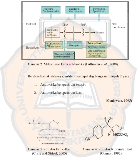 Gambar 2. Mekanisme kerja antibiotika (Lullmann et al., 2000)