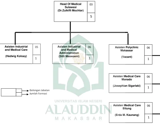 Gambar 5 : Struktur Organisasi Medical Sulawesi 