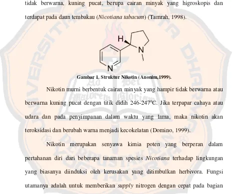 Gambar 1. Struktur Nikotin (Anonim,1999). 