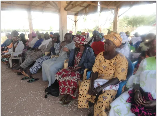 Figure 8.  TRY delegation meeting with the Kabajo oyster harvesting community in SouthernSenegal to discuss transboundary management planning in the Allahein River estuary