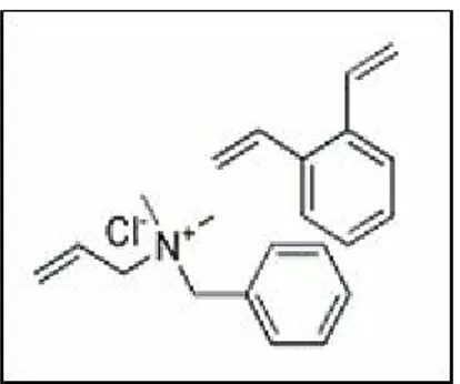 Gambar 1. Struktur molekul IRA-400 (CL) [8,9]