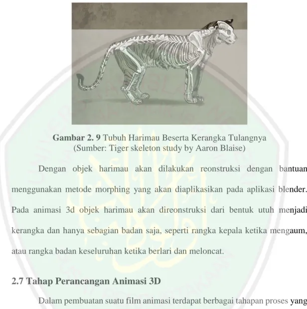 Gambar 2. 9 Tubuh Harimau Beserta Kerangka Tulangnya  (Sumber: Tiger skeleton study by Aaron Blaise) 