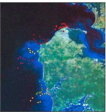 Figure 3. Locations of actual sole fishing      from major landing sites 