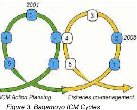 Figure 3. Bagamoyo ICM Cycles 