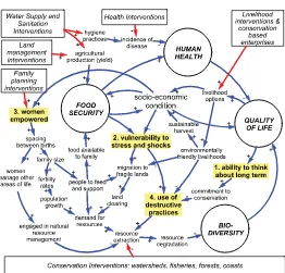 Figure 1: PHE model, highlighting how livelihood activities reinforce positive dynamic forces