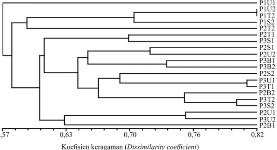 Gambar 1.  Dendrogram keragaman morfologi pohon induk tiga generasi. U, T, S,  dan B secara berturut- berturut-turut adalah sektor arah mata angin utara, timur, selatan, dan barat