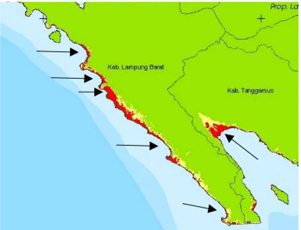 Gambar 6. Zonasi kerentanan bencana tsunami di  sepanjang  pantai  barat  Lampung  (tanda  anak  panah  menunjukkan  bentuk  pantai  berupa  teluk  yang  berpotensi  besar  terhadap  kenaikan 