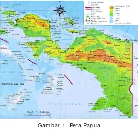Gambar 1. Peta Papua 