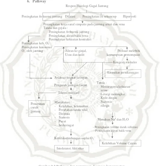 Gambar 2.2 Pathway dan perumusan diagnosa keperawatan (Huddak dan Gallo, 1997) 