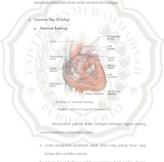 Gambar 2.1 Anatomi Jantung 