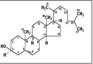 Gambar 2.2. Struktur molekul kolesterol (sumber: http://id.wikipedia.org/        