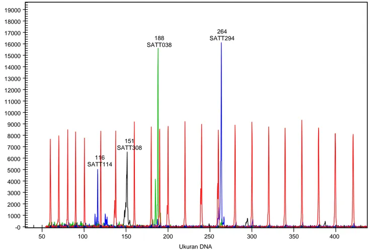 Gambar 1. Signal flourescen yang dihasilkan dari mesin Beckman CEQ 8000. Signal warna (dye) ada di ordinat Y (Y-axis), ukuran DNA ada di  ordinat X (X-axis; dalam nukleotida, nt)