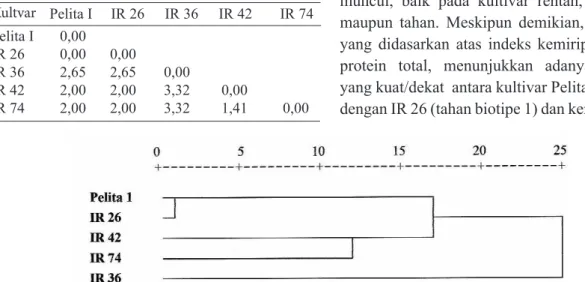 Gambar 3.  Dendrogram kultivar padi dengan tingkat ketahanan berbeda terhadap wereng coklat, yang didasarkan  atas kemiripan pola pita protein total
