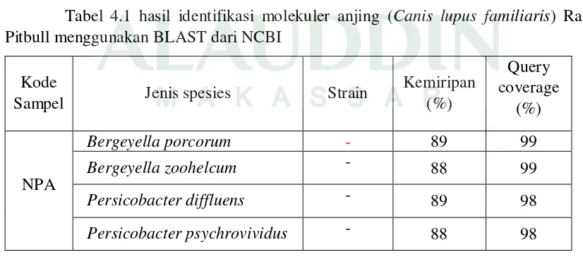 Tabel 4.1 hasil identifikasi molekuler anjing (Canis lupus familiaris) Ras 