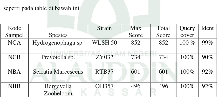 Tabel 4.1. Bakteri Hasil Blast sampel NCA, NCB, NBA dan NBB 