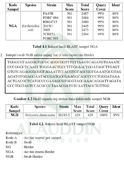 Gambar 4.2 Hasil sequencing urutan basa nukleotida sampel NGB 