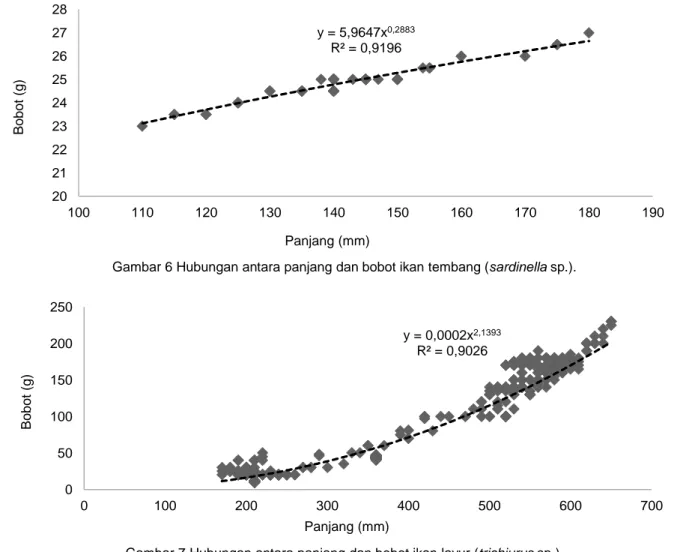 Gambar 7 Hubungan antara panjang dan bobot ikan layur (trichiurus sp.). 