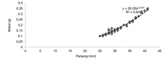 Gambar 8 Hubungan antara panjang dan bobot ikan teri (stolephorus sp.). 
