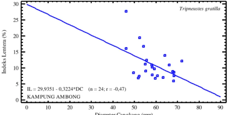 Gambar 12. Hubungan linier antara indeks lentera dan diameter cangkang bulu babi  Tripneustes gratilla di Kampung Ambong