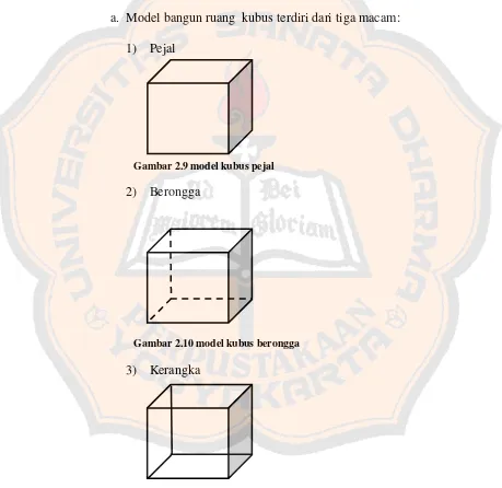 Gambar 2.9 model kubus pejal 