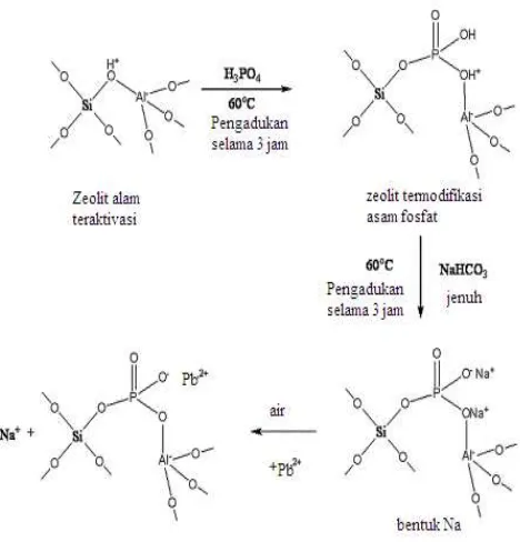 Gambar 1.  Skema reaksi modifikasi zeolit   PNa2 [13].  