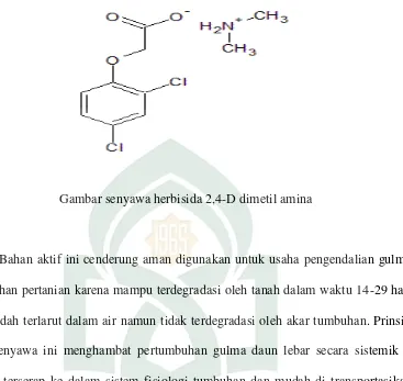 Gambar senyawa herbisida 2,4-D dimetil amina 