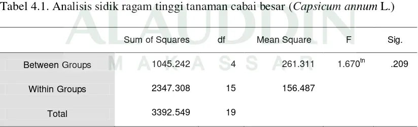 Tabel 4.1. Analisis sidik ragam tinggi tanaman cabai besar (Capsicum annum L.) 