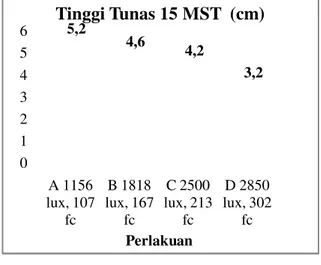 Gambar  1.  Diagram  Tinggi  Tunas  (cm)  Plantlet Daun Dewa 