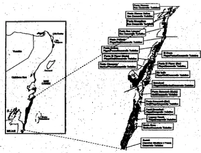 Figure 2. Planned development along the Costa Maya.  Source:  Luhrs and Vallejo, 1991