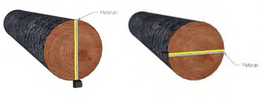 Gambar 2.1 Pengukuran diameter kayu konvensional menggunakan alat bantu  meteran. Tampak gambar kiri pengukuran diameter ujung, dan tampak kanan 