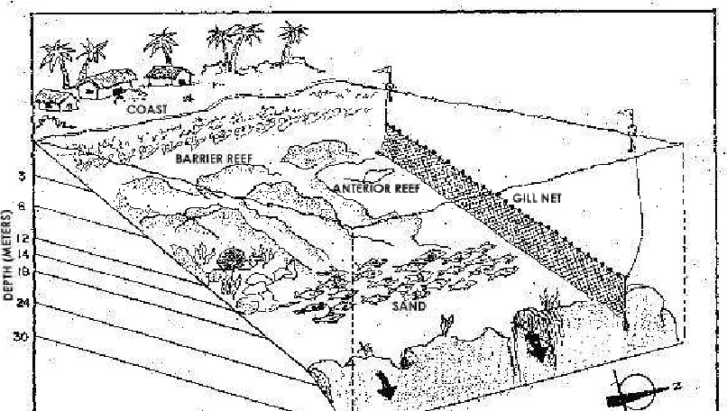 Figure 8.2. Diagram of gill net usage around Mahahual.  Source: Perera, et. al, 1994.