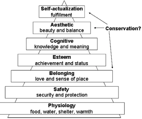 Fig. 2. Maslow’s hierarchy of needs (adapted from Maslow, 1970).