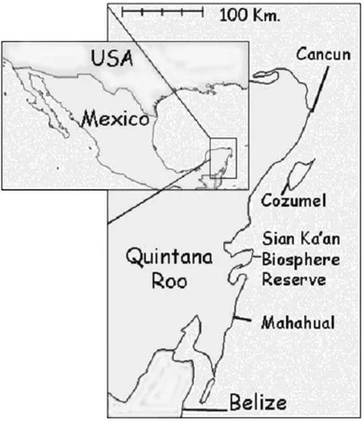 Fig. 1. Map of coastal Quintana Roo, Mexico.